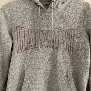 Veritas Gray Harvard Inside Out College Hoodie Size Extra Small